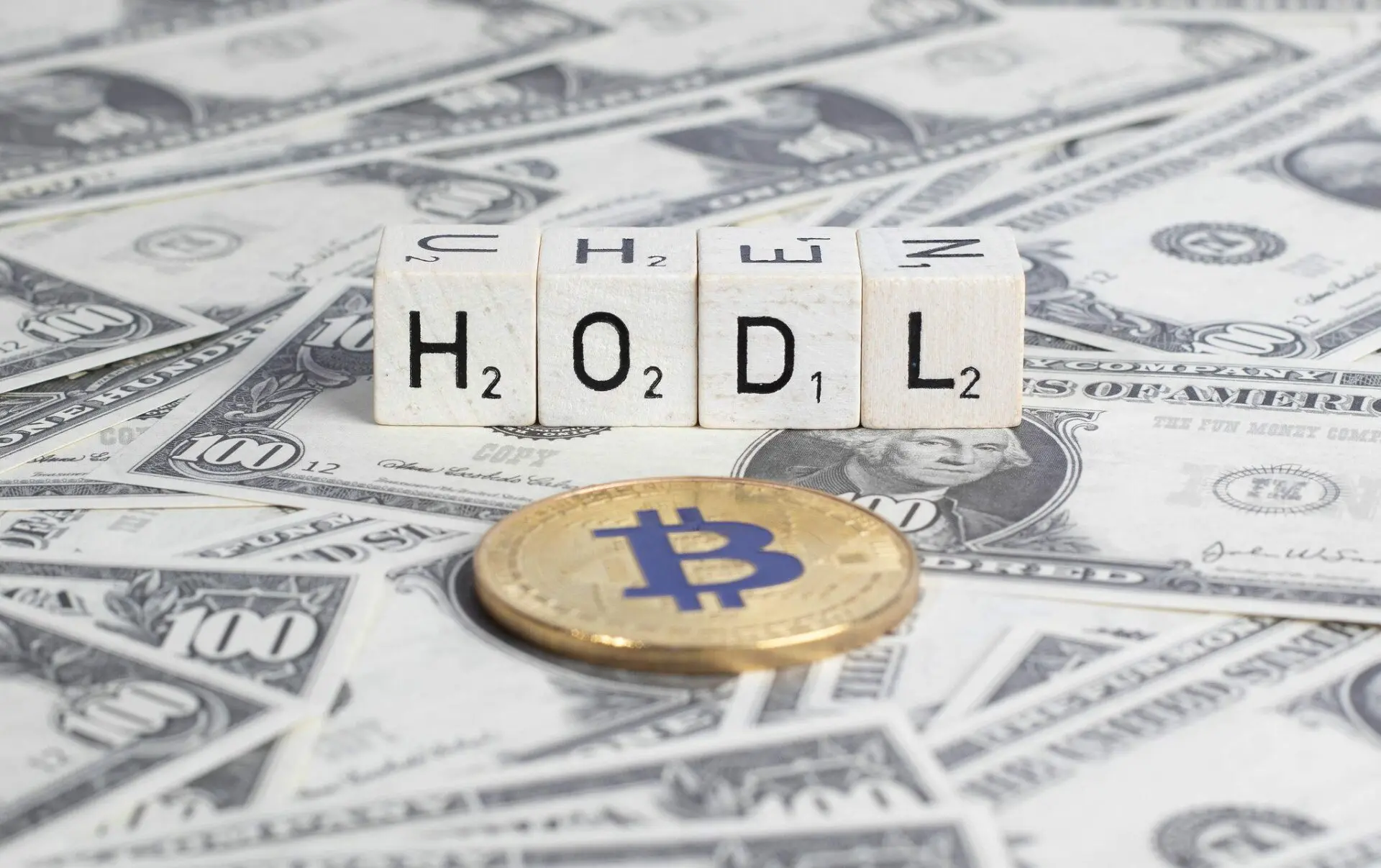 Che cosa vuol dire “hodl”? Tra meme e strategia