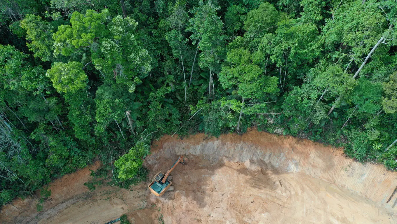 Amazzonia