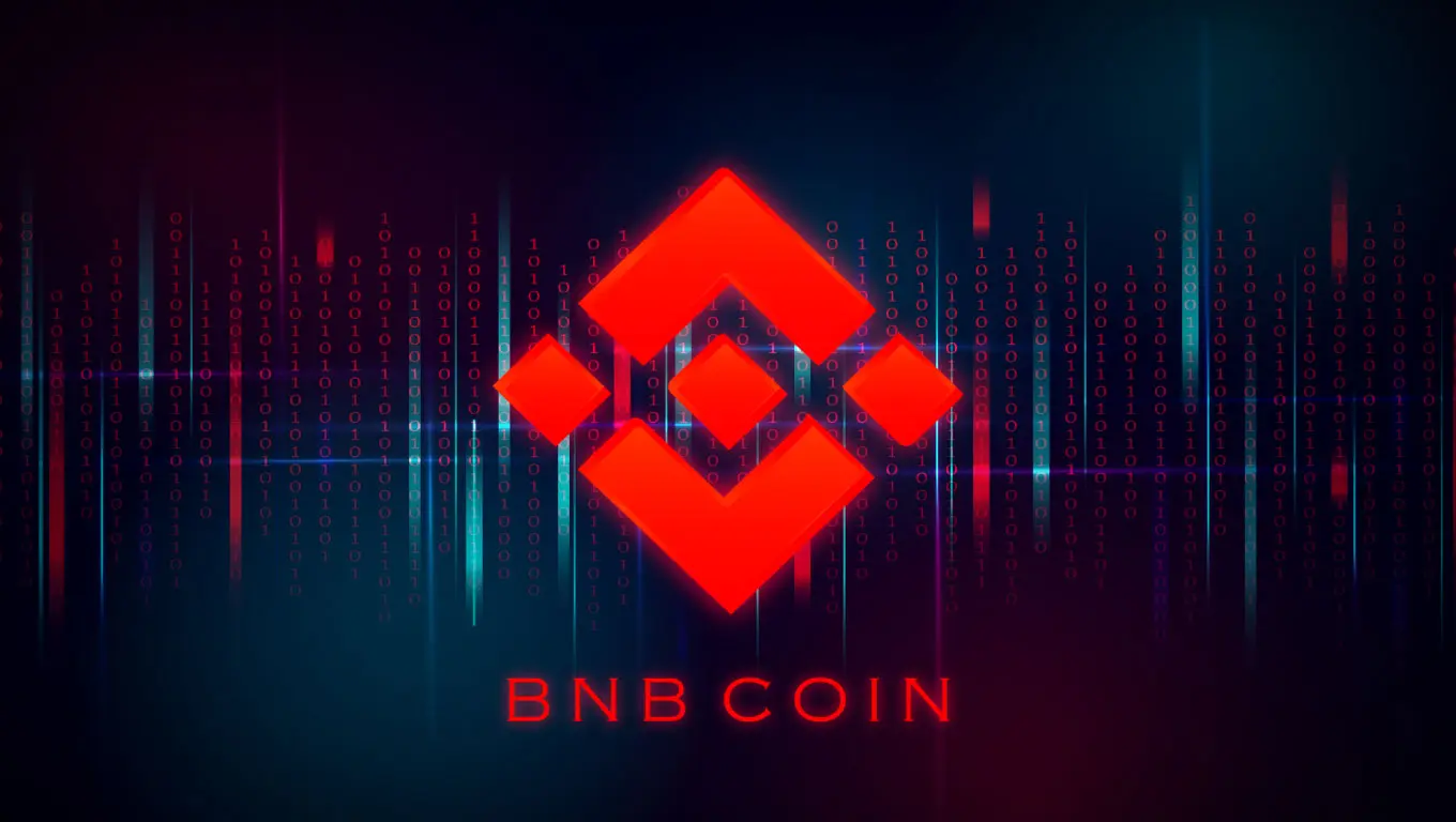 MALE anche Binance Coin, però...