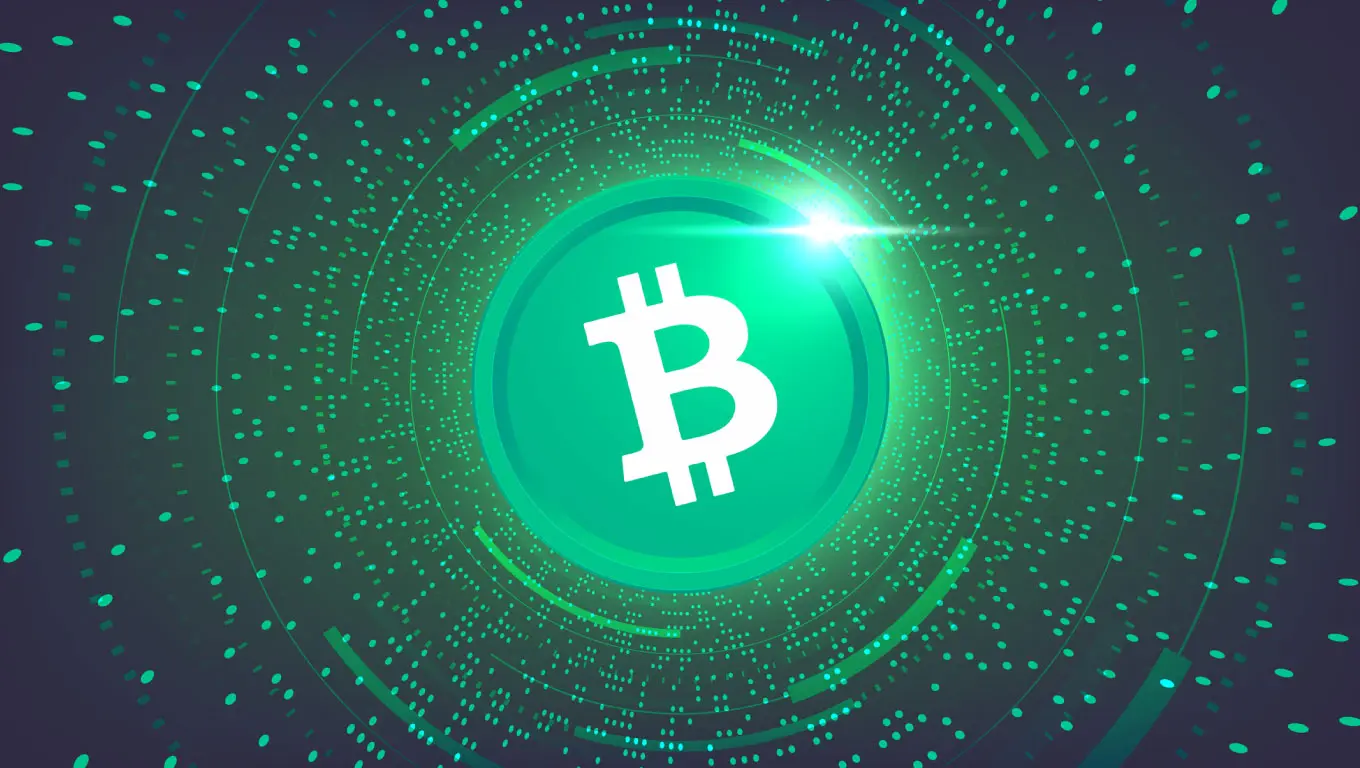 Bitcoin Cash: la 