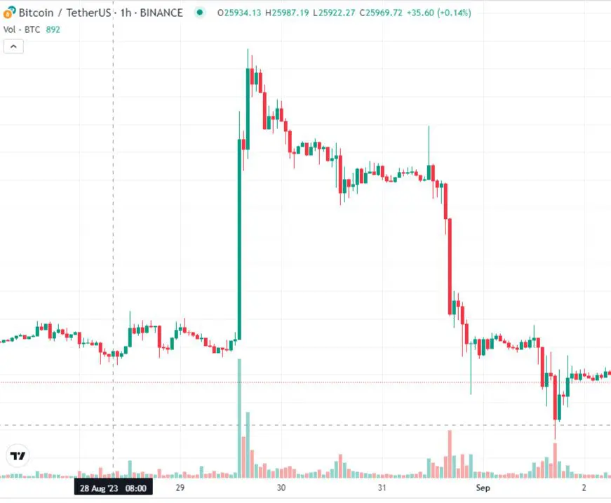 Andamento criptovalute: interpretare i saliscendi