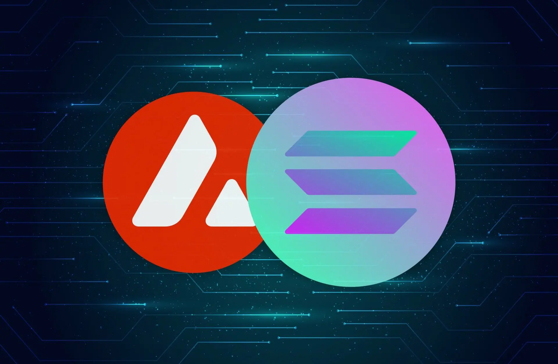 Avalanche e Solana: nuovi afflussi secondi solo a Bitcoin