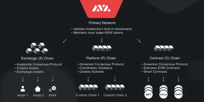 Primary Network e blockchain integrate