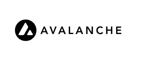 Avalanche (AVAX): Internet of Assets