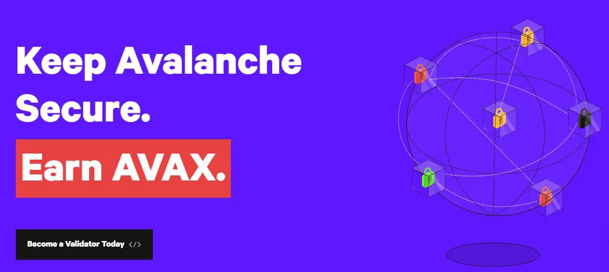 Validatori e Delegatori