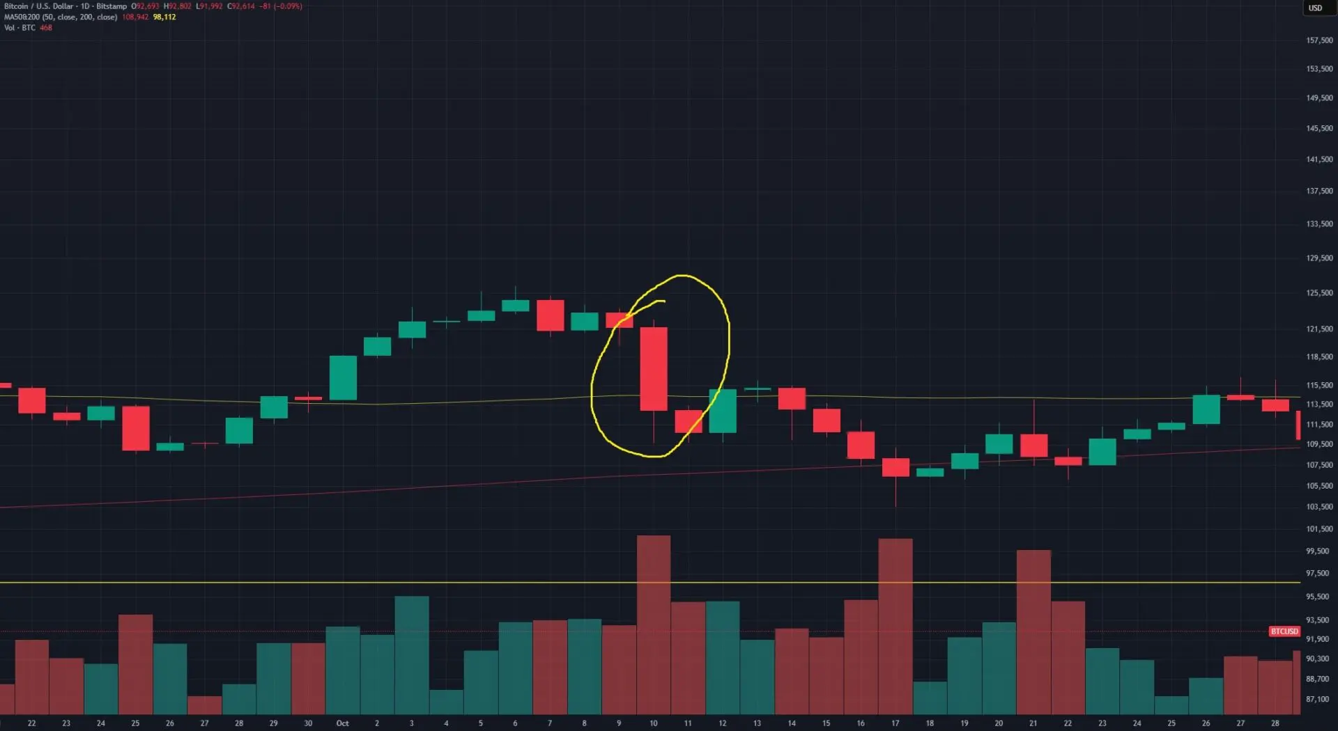 bitcoin perdita