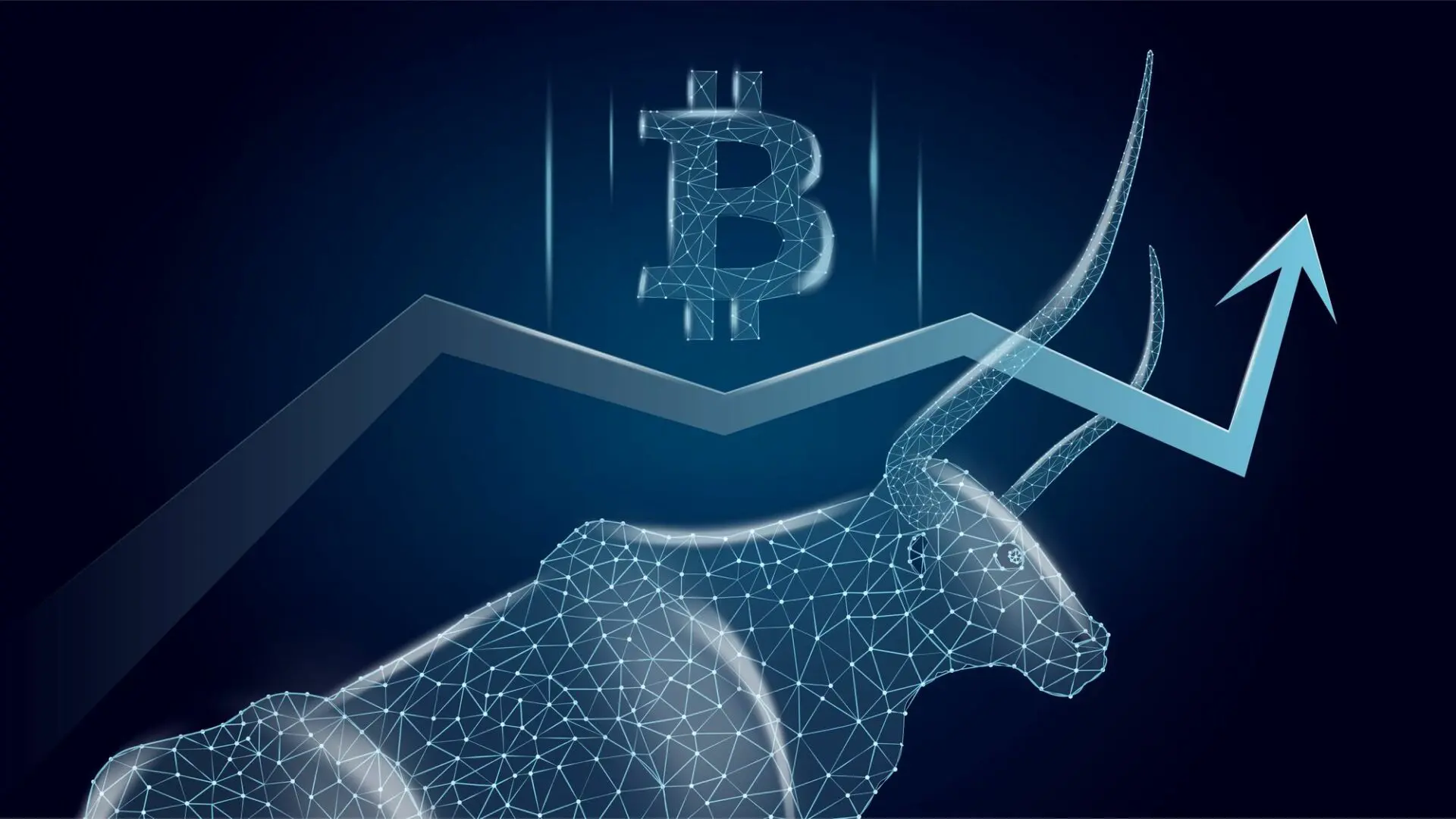 Bitcoin a $65k è già ATH contro l’euro!