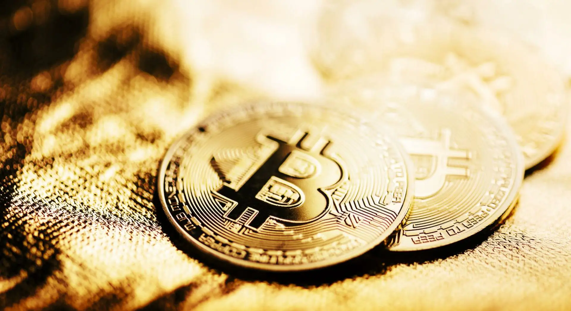 Bitcoin: record storico gli holder di BTC! 