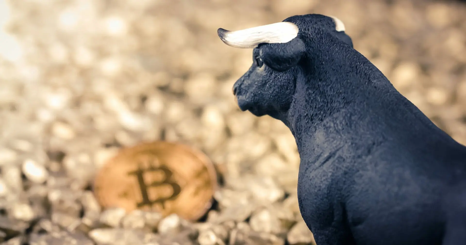 I 4 trend crypto che devi conoscere per prepararti al 2025
