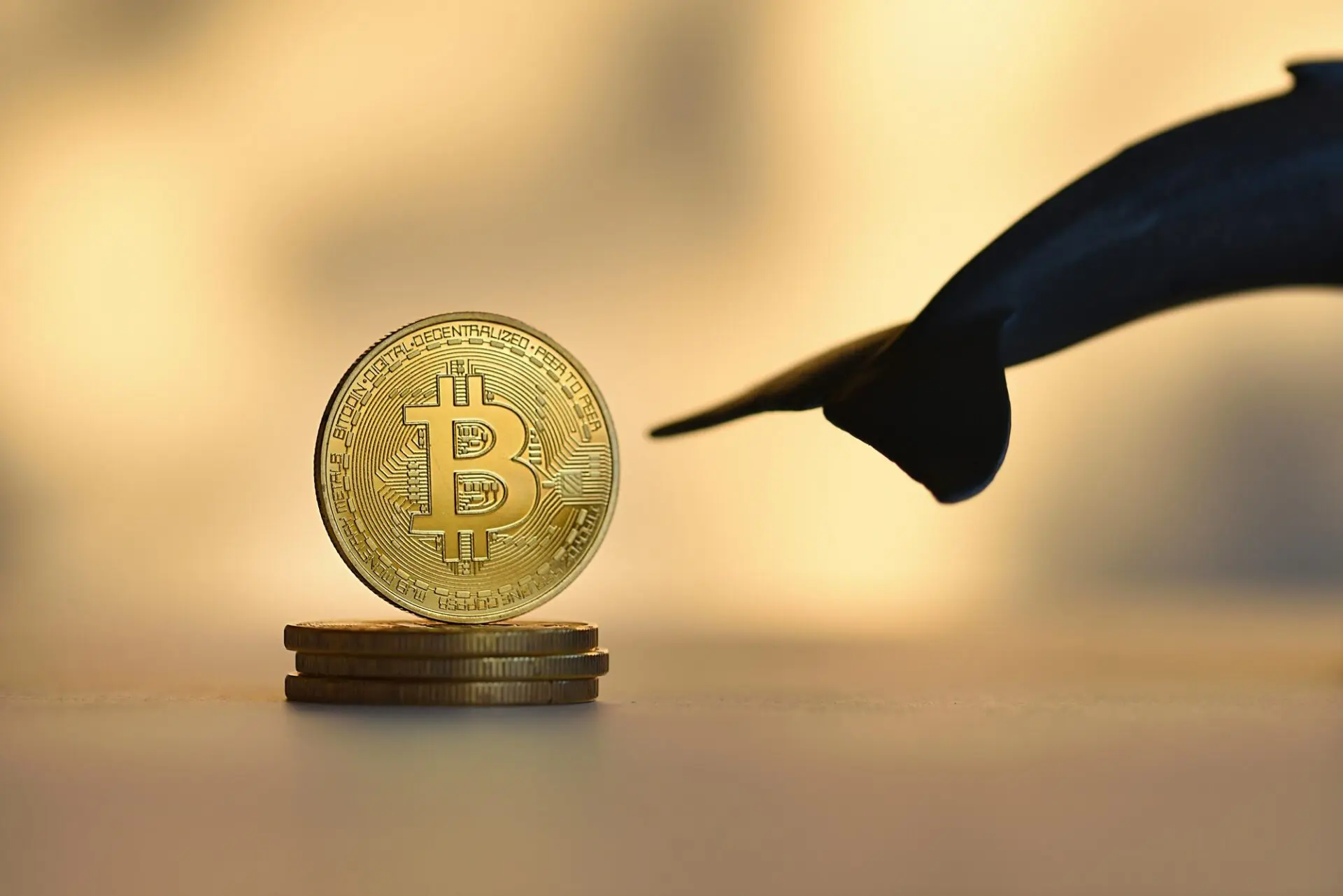 Bitcoin: le whale tornano all’attacco!