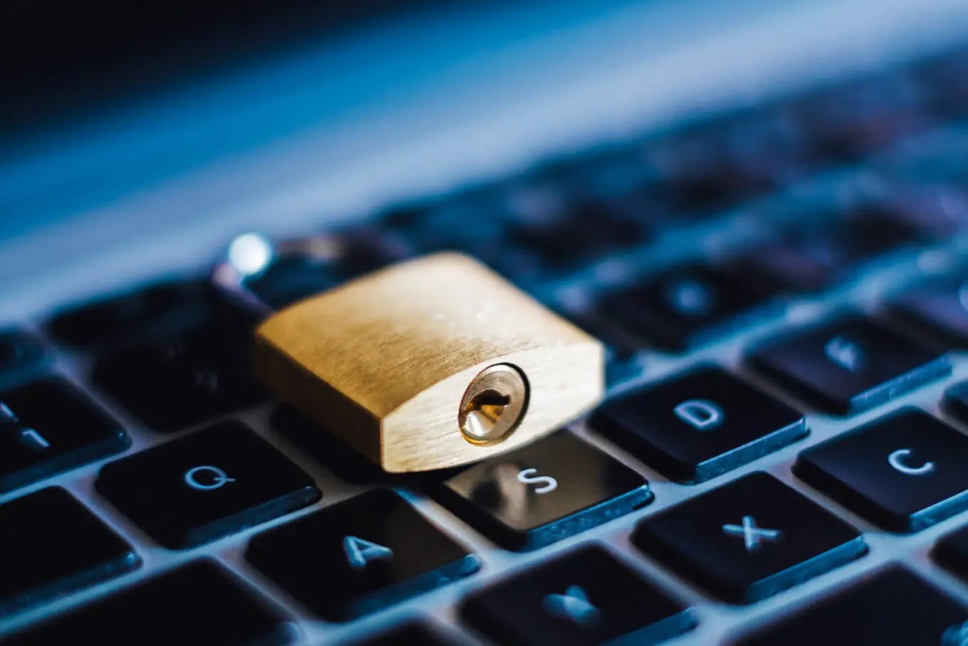 Privacy e Chat GPT in Italia