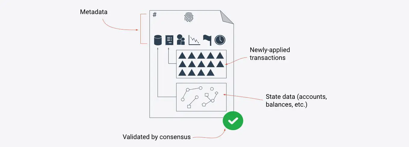 Ripple XRP consensus