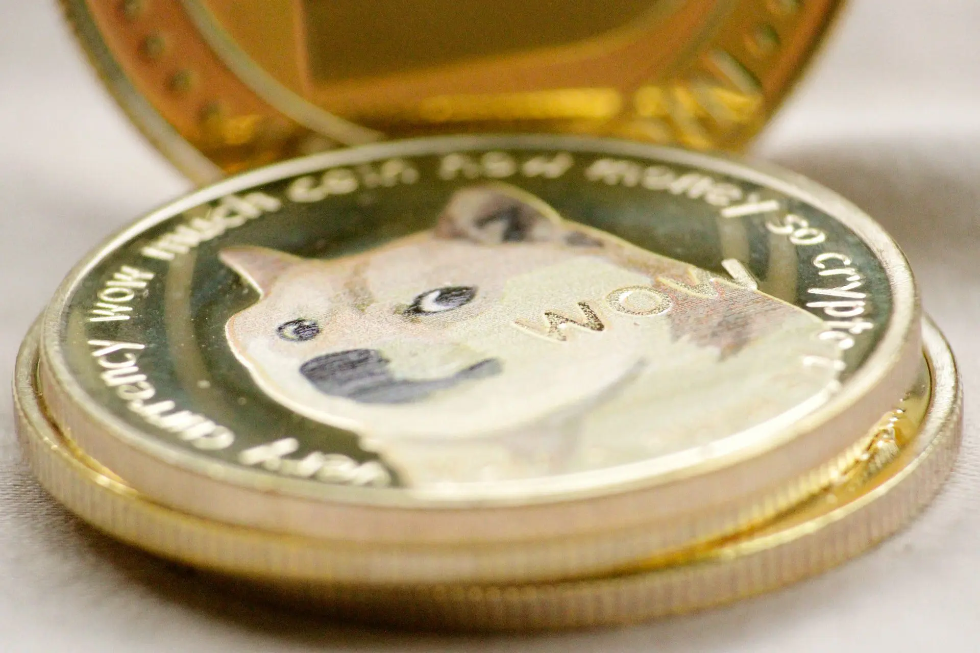 Meme coin: cosa sono e come investire