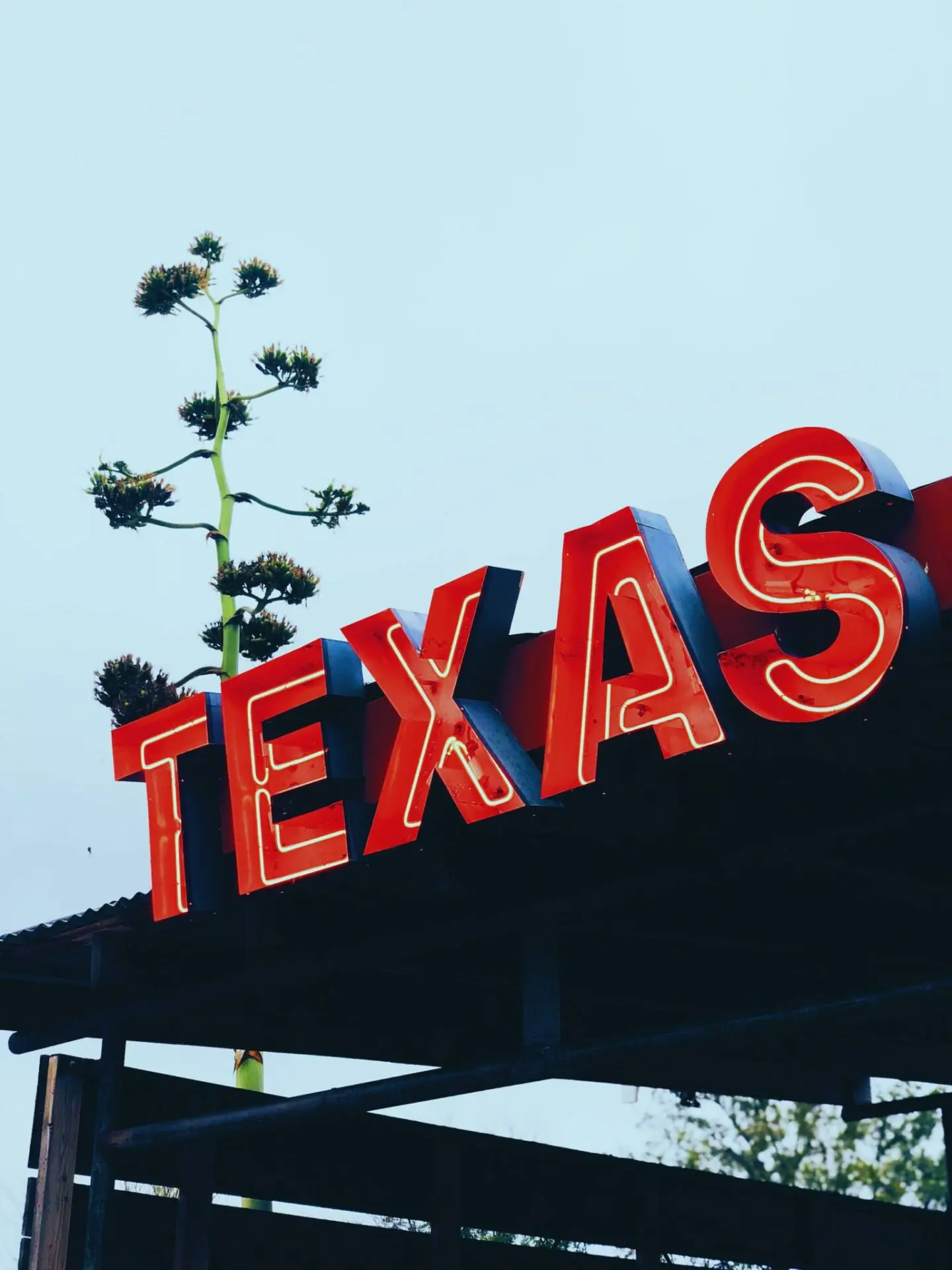 In Texas il mining di Bitcoin si fa in municipio
