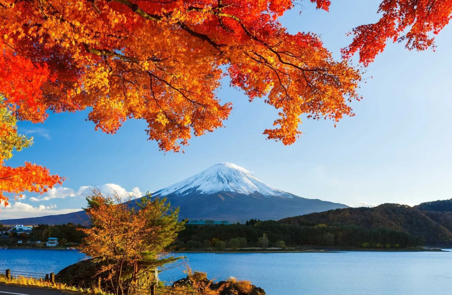 Nasce Binance Japan, operativo da giugno 2023