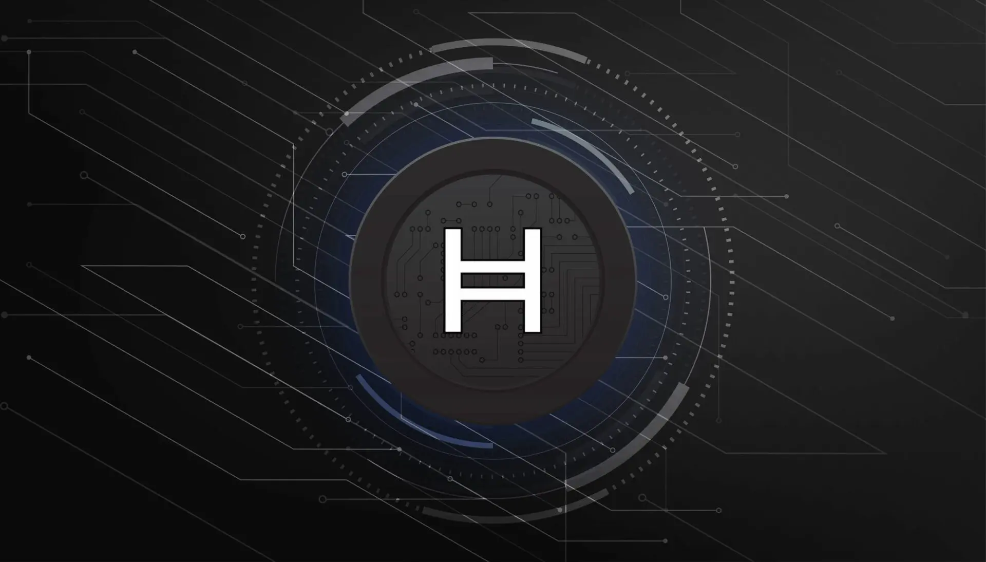 Hedera: confermato l’exploit per un bug dello smart contract