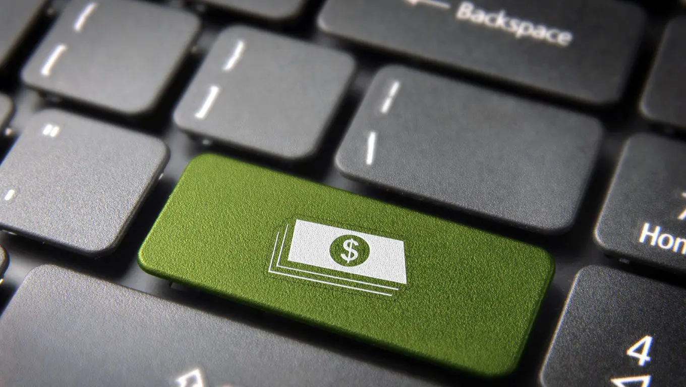 Moneta elettronica: pillole sull'euro digitale
