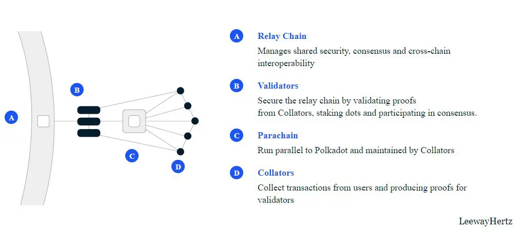 Polkadot network