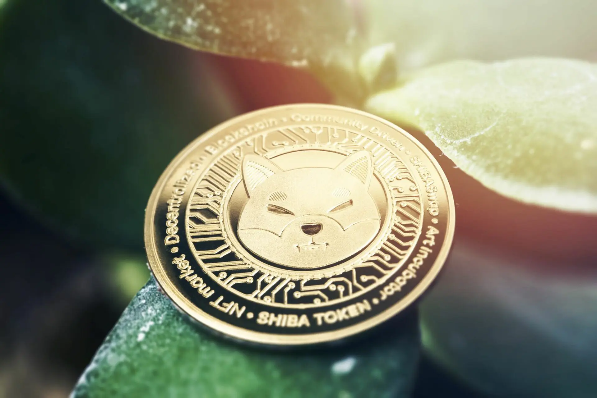 Shiba Inu coin: live il primo bridge Shibarium-Ethereum