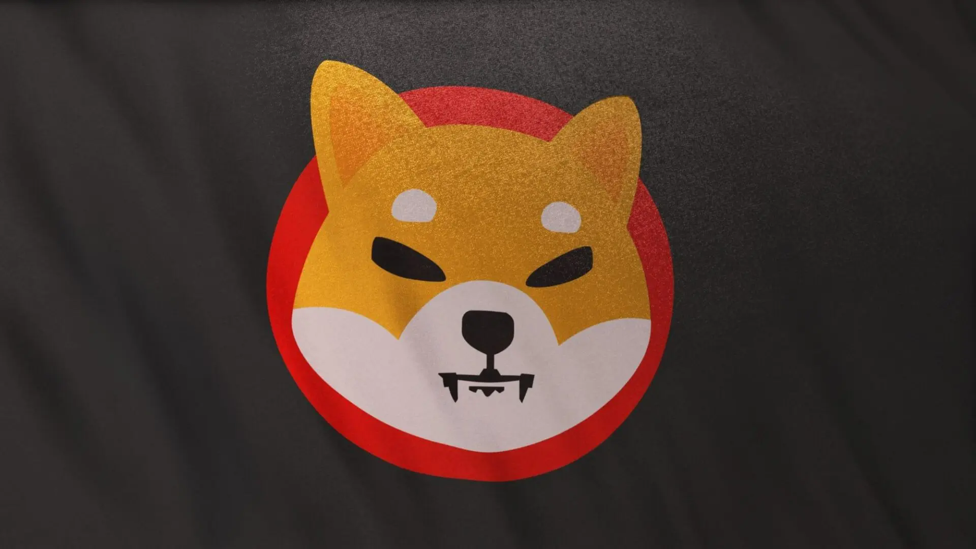 Shiba Inu Coin: numeri in rialzo per tutto il network 