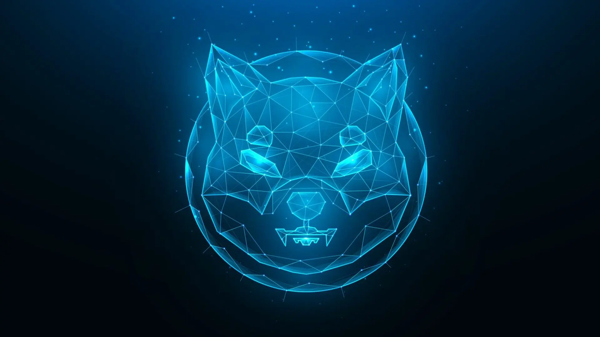 Shiba Inu Coin: pubblicati i punti chiave di Shibarium