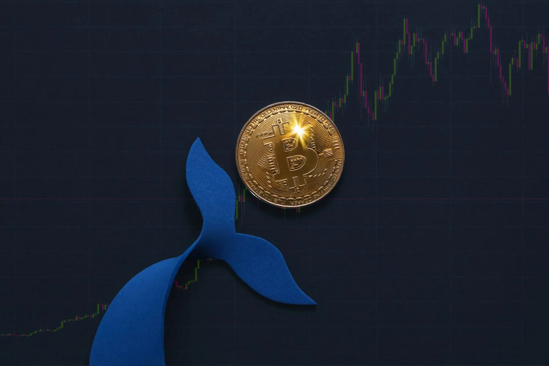 Bitcoin: le whale sono in piena fase di accumulo BTC
