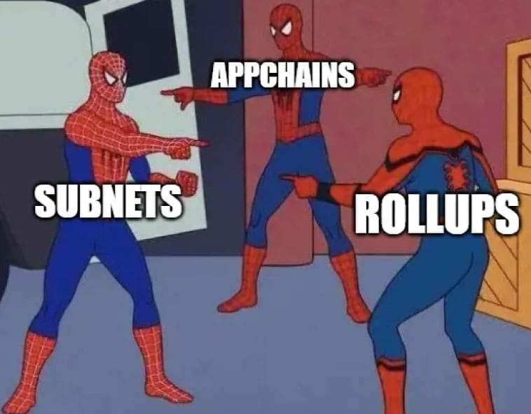 meme spiderman subnets