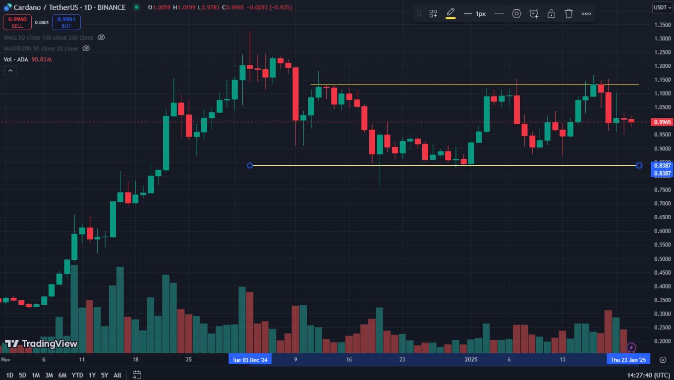 ADA USDT gennaio 2025