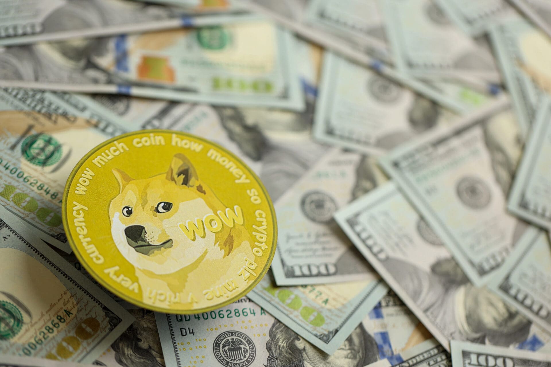 ETF spot Dogecoin: per Bitwise la questione di fa seria