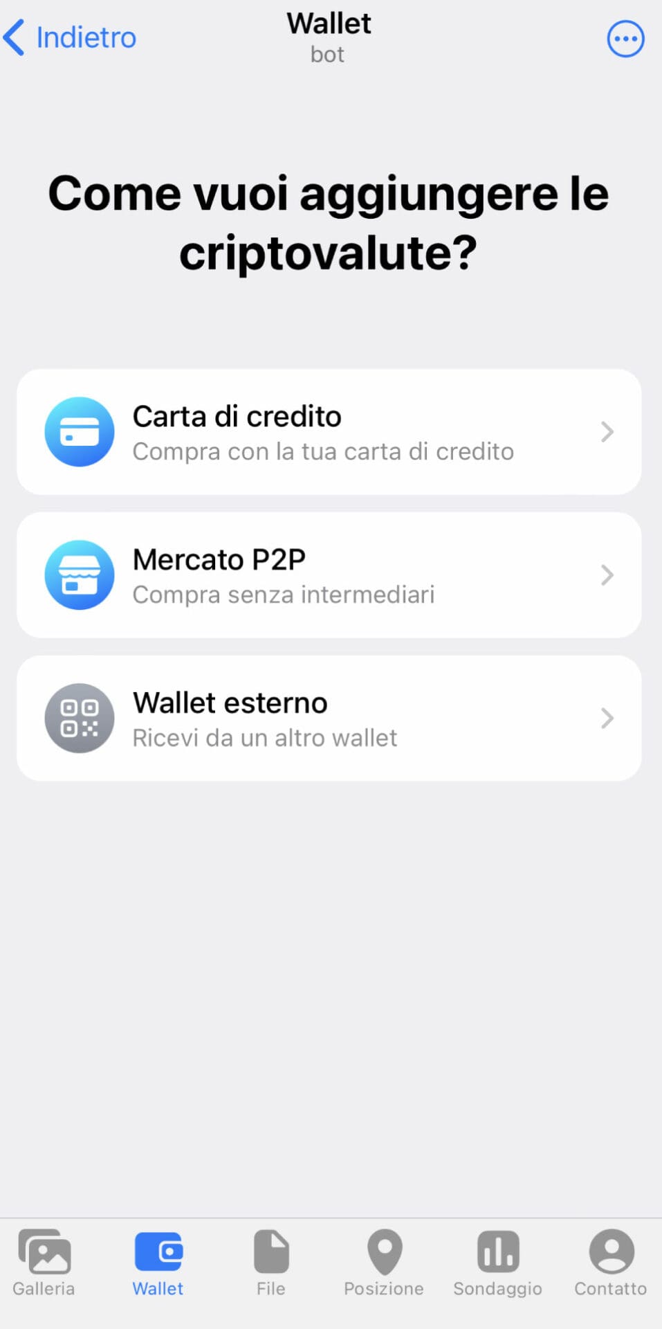 Dettagli TON wallet