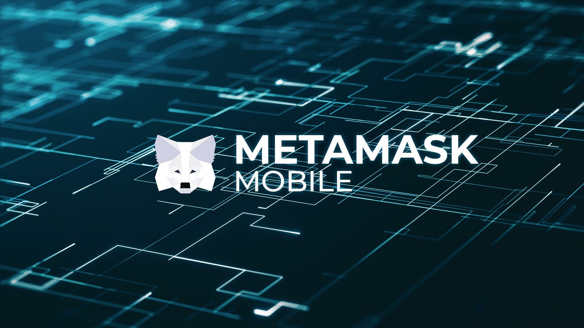 Come funziona MetaMask Mobile: breve guida