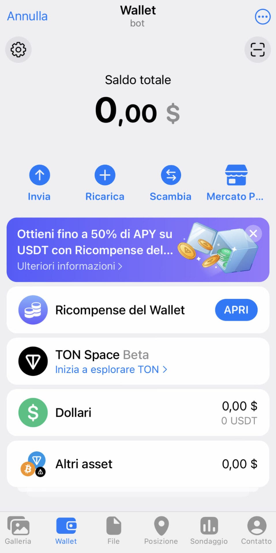 interfaccia TON Wallet