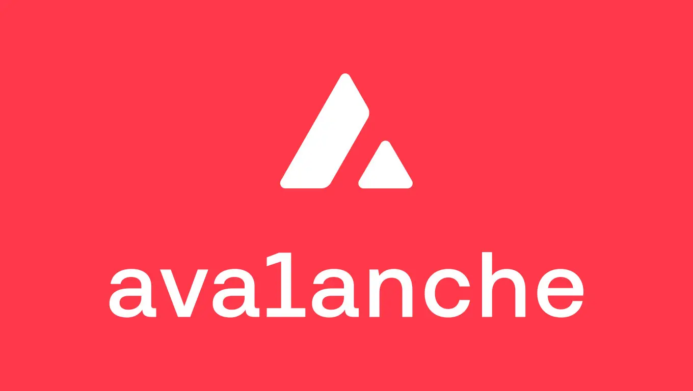 Avalanche 9000: report completo