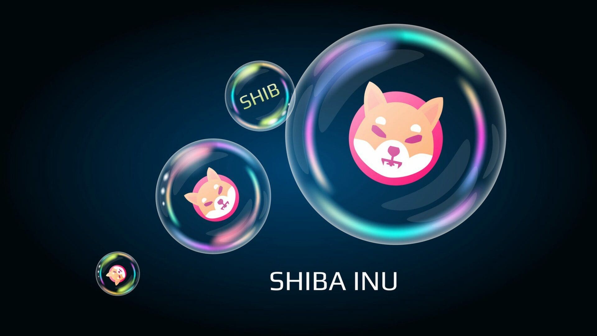 Shiba Inu Coin: Shibarium, il suo Layer-2, è ormai realtà
